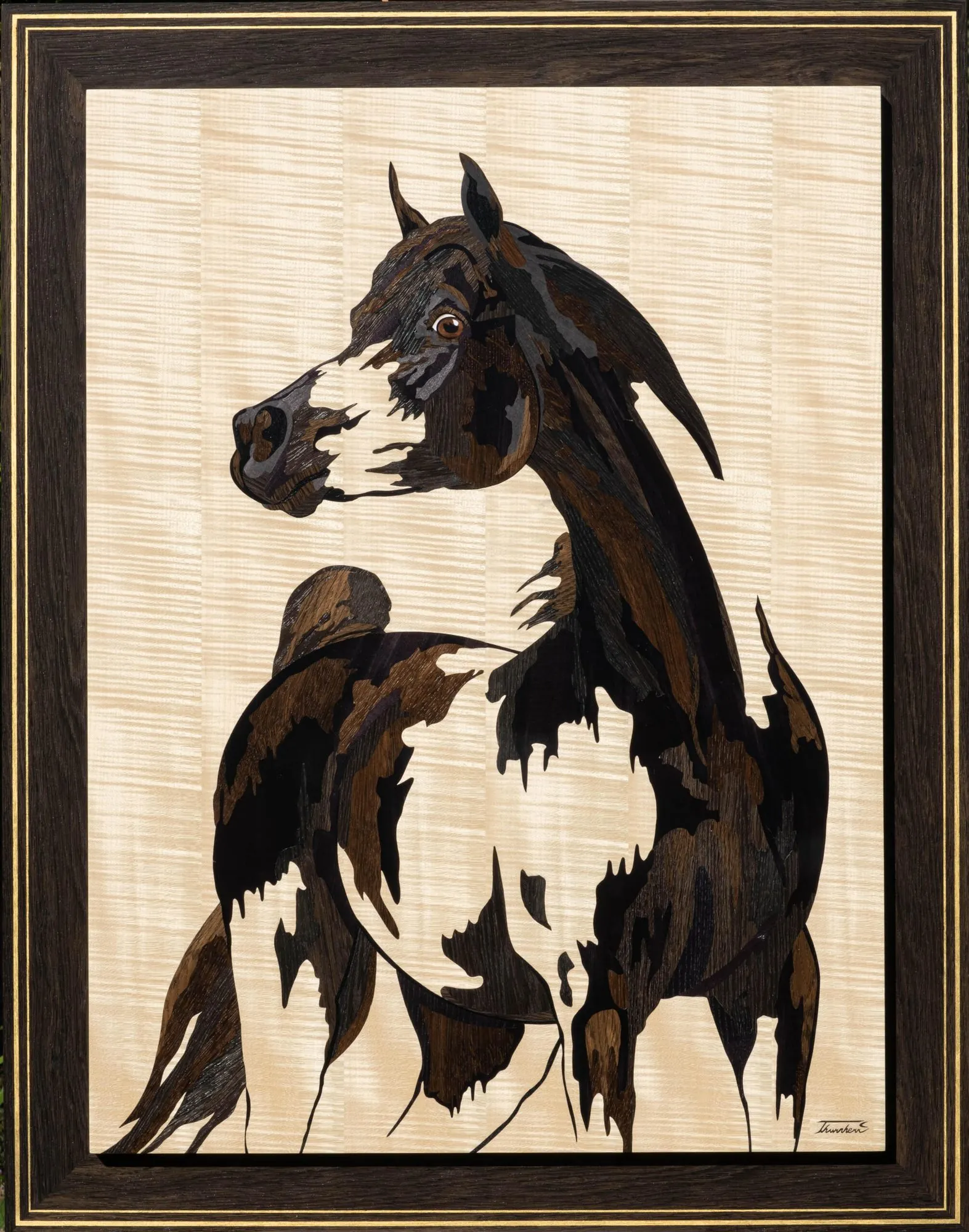 Arabian Horse